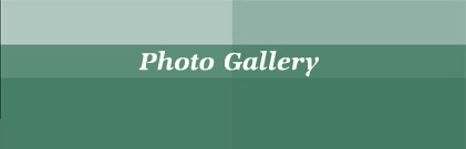 Photo Gallery