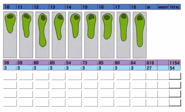 Score Card - The Back Nine