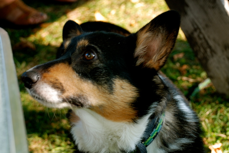DSC_0384.JPG